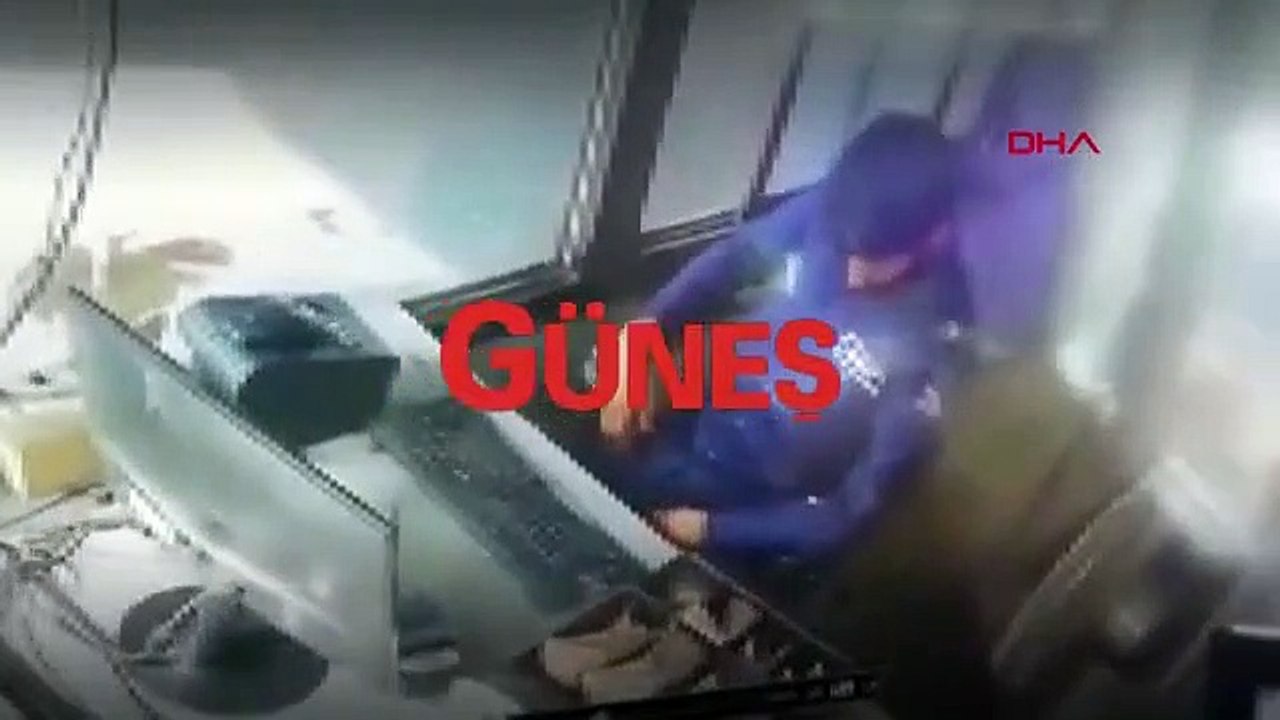 Hırsızlık için eğitilen maymunlar şaşırttı