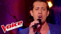 Lionel Richie – All Night Long | Teiva | The Voice France 2014 | Épreuve Ultime