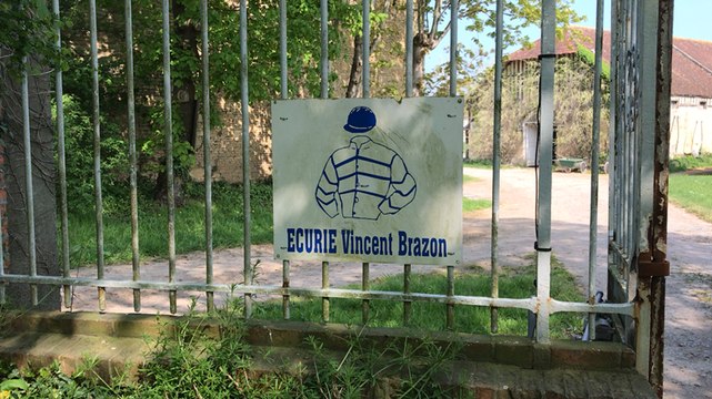 Un entraînement de trot attelé avec Vincent Brazon