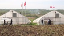 Sinop Serada Topraksız Tarımla Çilek Üretiyor