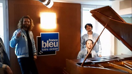 Les Crevettes Pailletées