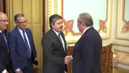 TBMM Başkanı Şentop'a Ziyaret