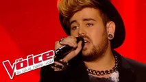 Frankie Goes to Hollywood – The Power of Love | Lioan | The Voice France 2014 | Prime 2
