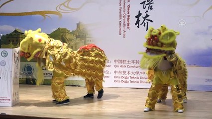 'Umarım daha fazla Türk genci Çince öğrenir' - ANKARA