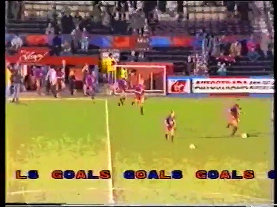 Crystal Palace  1988-89  Season Review