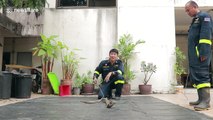 Brave fireman shows how to catch a cobra with bare hands