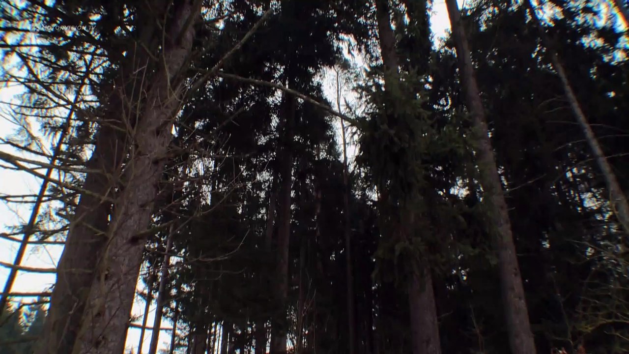 Toyota Land Cruiser V8: Rollende Schrankwand