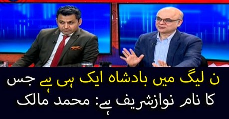 PML-N only has one king named Nawaz Sharif: Mohammad Malik