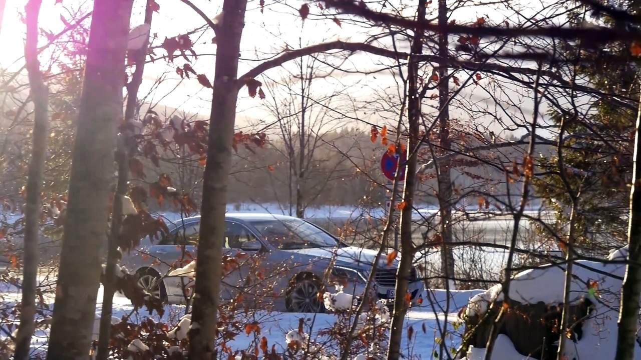 Mercedes S500 e: Luxus mit grünem Gewissen