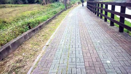 Biking on a path in Taiwan.....