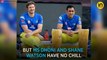 IPL 2019: MS Dhoni and Shane Watson won't join Imran Tahir’s celebrations, here’s why