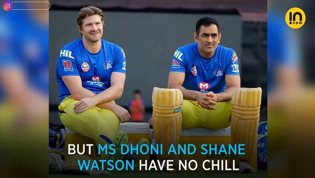 IPL 2019: MS Dhoni and Shane Watson won't join Imran Tahir’s celebrations, here’s why