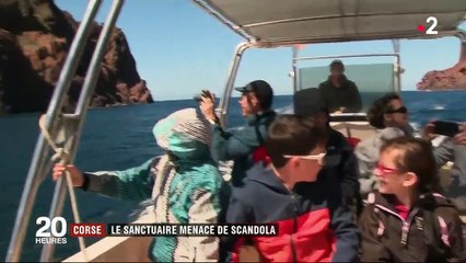 En Corse, la réserve de Scandola menacée par le tourisme