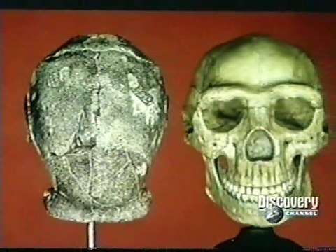 5 - DISCOVERY CHANNEL - PALEOWORLD: ELOS PERDIDOS