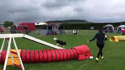 Concours d'agility à Semur-en-Auxois