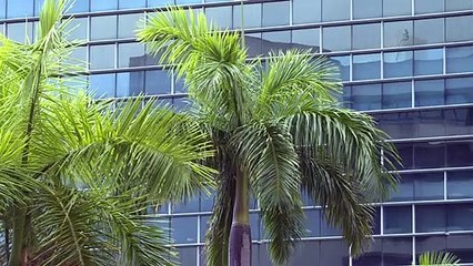 Carnival es la primera empresa demandada en EEUU por confiscaciones en Cuba