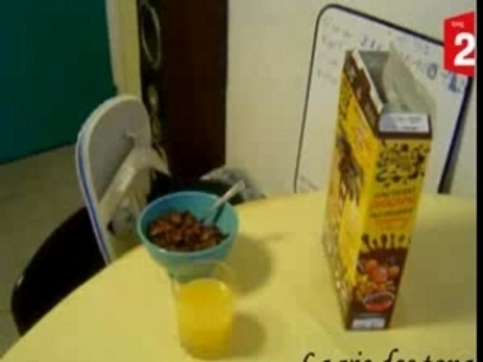 Teletong - La vie des tongs - Le petit déjeuner