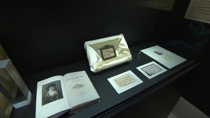 Leonardo Da Vinci e la ciocca della discordia