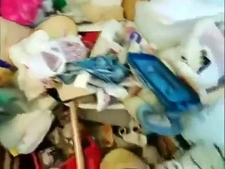 How Clean is Your House - Grotty Granny