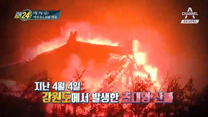 [예고] 공포에 떨게 만들었던 강원도 산불 발생 30일, 그 현장을 가다!