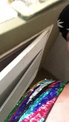 PreColumbian Era of America // Olmecs // Since the Time of Shishak of (Libya)