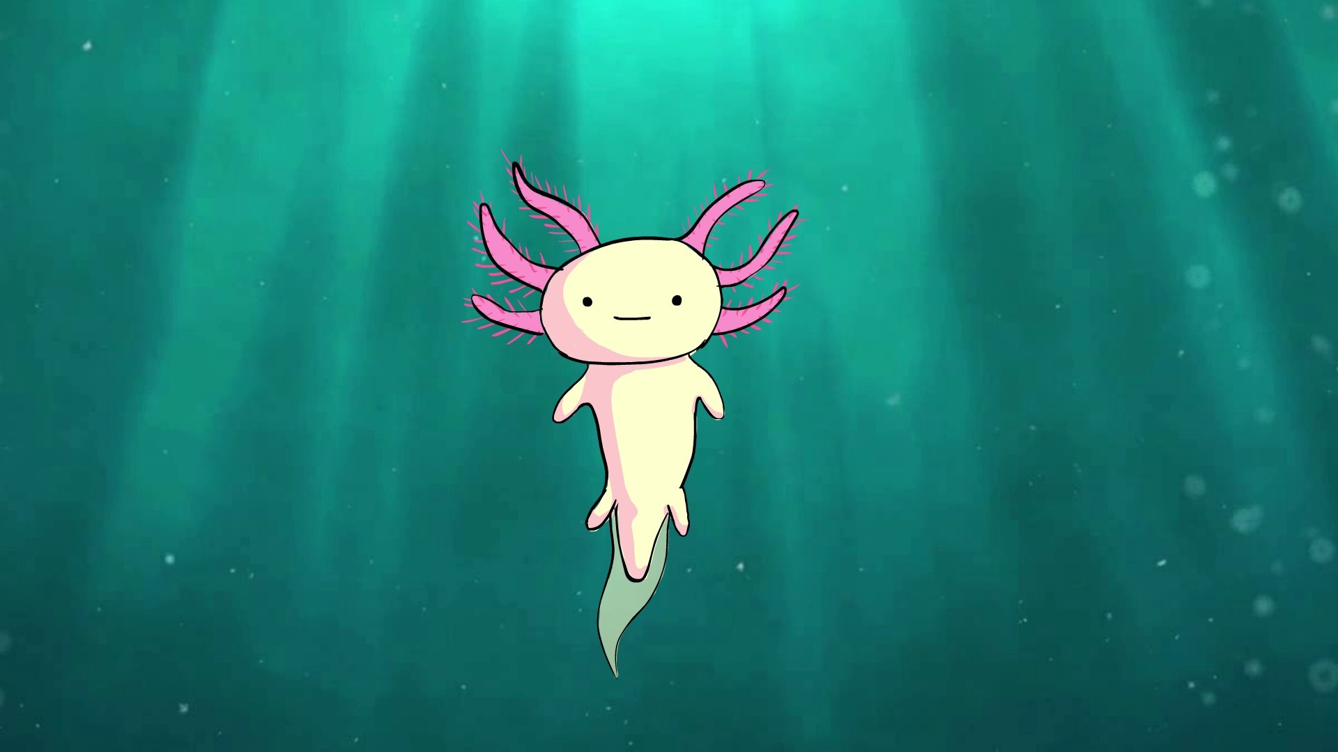 The Axolotl Song Video Dailymotion