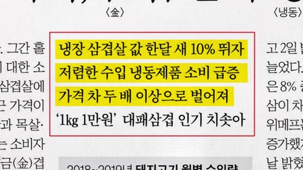 [앵커 pick] 금값된 삼겹살, 저렴한 수입 냉동제품 소비 급증 外 / YTN