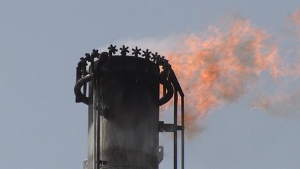 美 '이란 거래' 기업·금융기관도 제재 검토 / YTN