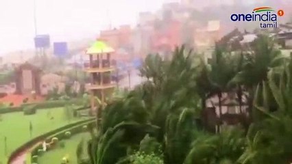 ஒடிசாவில் இன்று கரையை கடக்கிறது ஃபானி புயல்.. வீடியோ