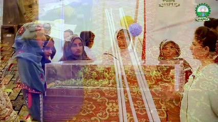 Free Kitchen Garden Kit distribution & beneficiaries comments at Blooming Thar - Mithi