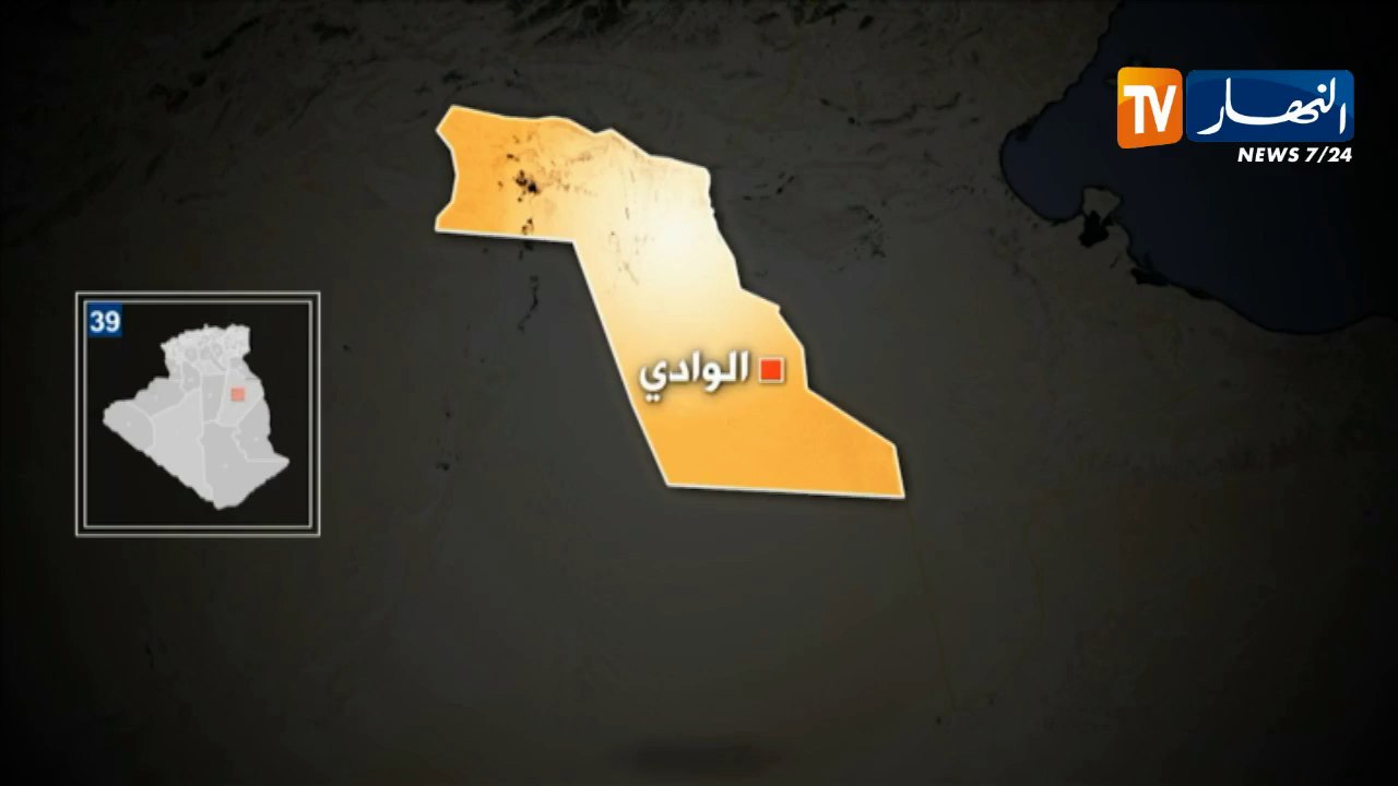 إيقاف 3 أشخاص وحجز 5808 وحدة من المواد الشبه الصيدلانية الموجهة للتهريب في الوادي