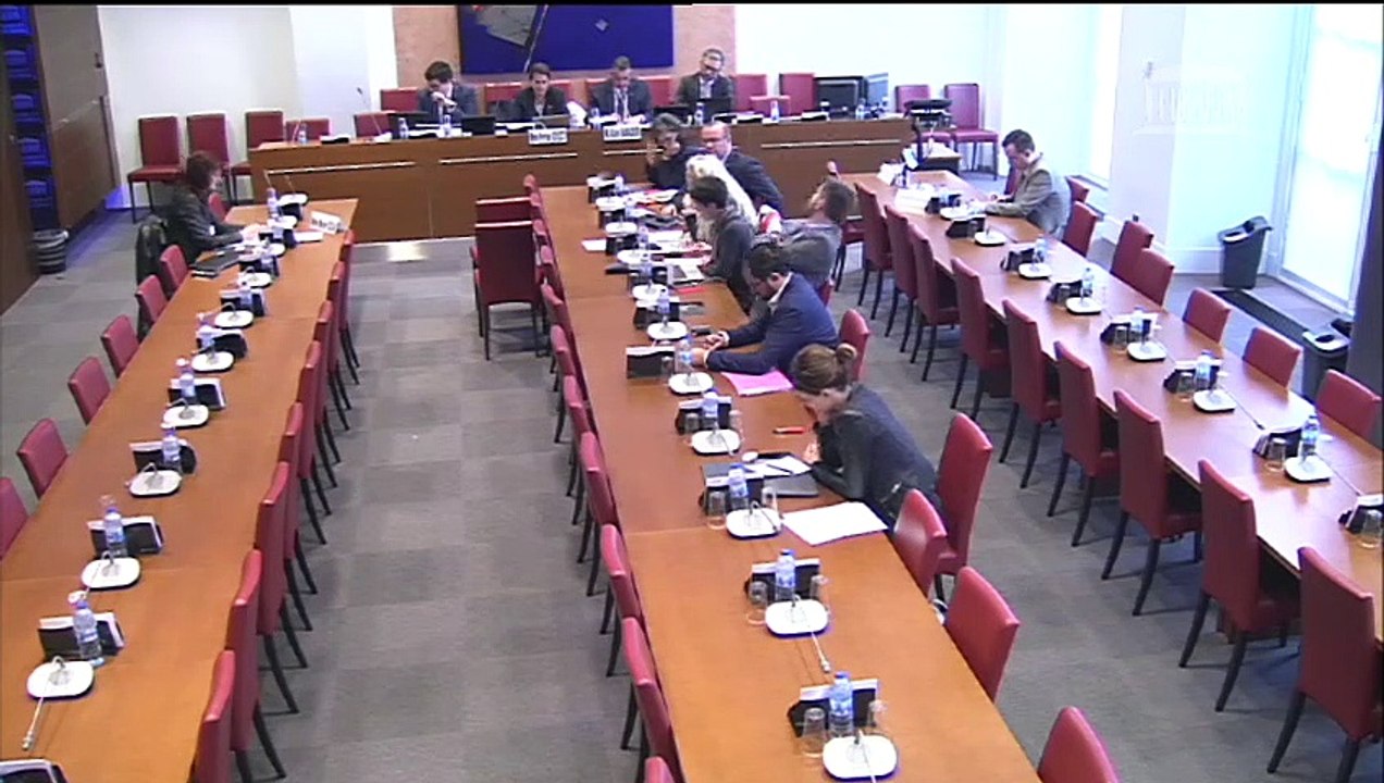 Aide sociale à l'enfance : Auditions diverses - Jeudi 2 mai 2019