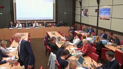 Commission des affaires économiques : Pré-enseignes ; Interdiction de la pêche électrique  - Mardi 30 avril 2019