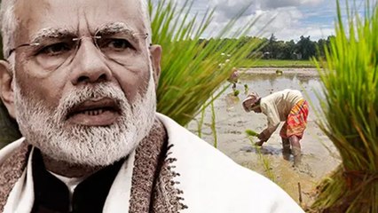 Varanasi: ವಾರಾಣಸಿಯಲ್ಲಿ ನರೇಂದ್ರ ಮೋದಿ ವಿರುದ್ಧ ಒಬ್ಬ ರೈತನಿಂದ ಮಾತ್ರ ಸ್ಪರ್ಧೆ