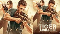 Bharat: Salman Khan & Katrina Kaif's Tiger Zinda Hai part 3 shooting start from this year FilmiBeat
