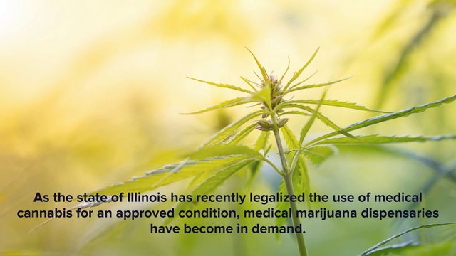 If You Suffering from A Debilitating Condition? Looking For a Medical Marijuana Dispensaries Near Will County, IL