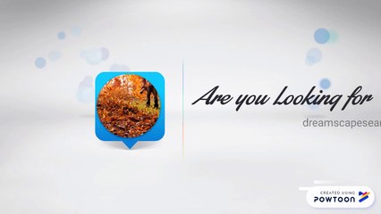 Fall Clean Up Services, Calgary