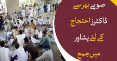DOCTORS Strike continues at Peshawar
