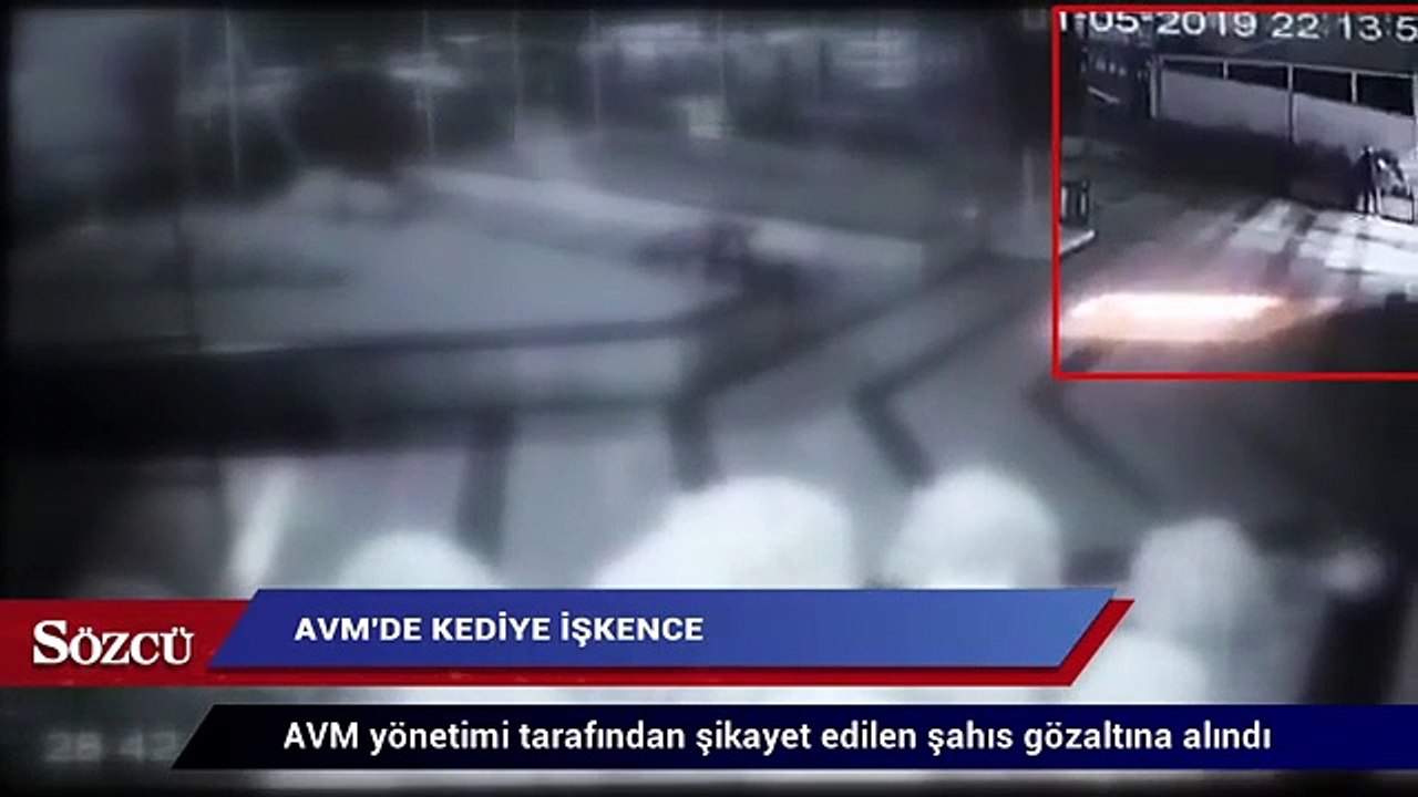 AVM’de kediye işkence