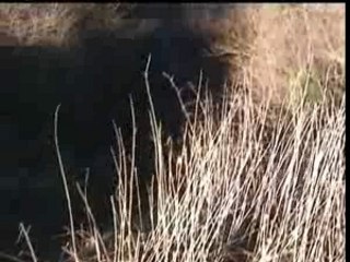Enduro morey 2007_0001