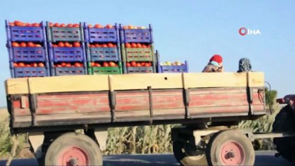 Kırkağaçlı çiftçilerin ucuz mazot sevinci