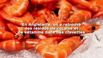 En Angleterre, on a retrouvé des traces de produits illicites dans des crevettes...