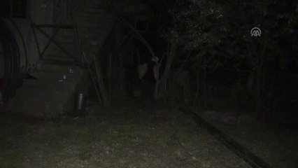 Fındığa "Duman"Lı Koruma