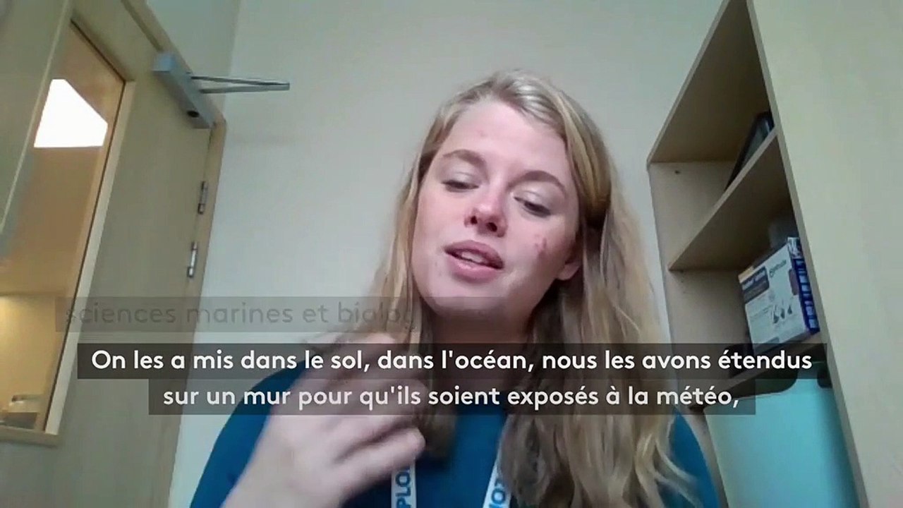 "Comme des sacs normaux" : ces sacs biodégradables qui ne le sont pas vraiment...