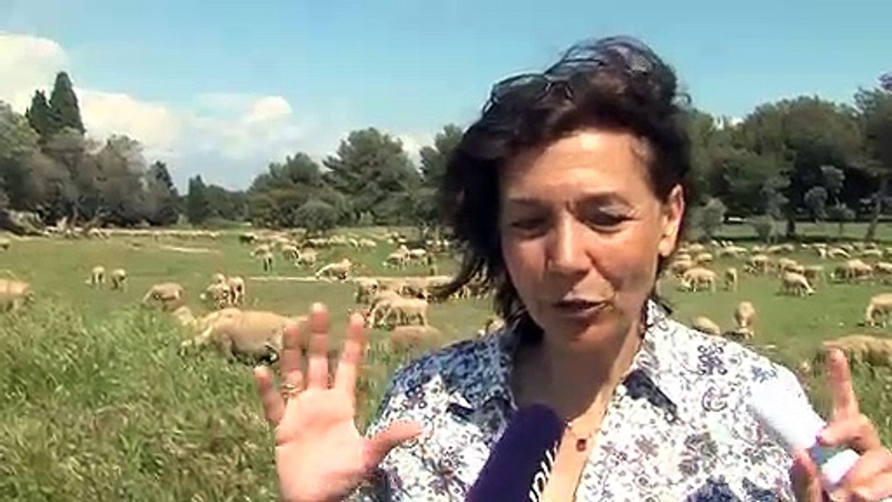 Les explications de Bénédicte Pourtalès.