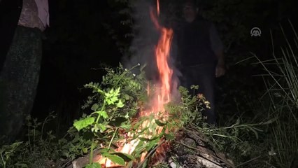 Fındığa 'duman'lı koruma - DÜZCE