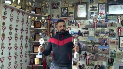 Dünyayı gezdi, aradığı arı köpek ırkını Sivas’ta buldu...Kangal çiftliği havadan görüntülendi