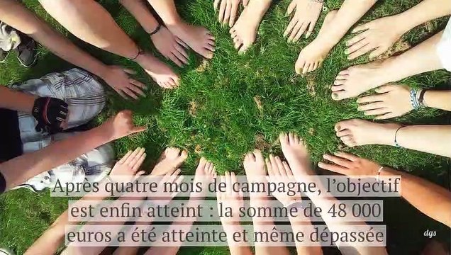 En Corrèze, des citoyens ont racheté une forêt pour la sauver