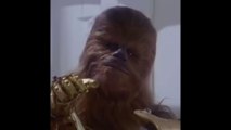 Peter Mayhew, qui incarnait Chewbacca dans Star Wars, est mort à 74 ans