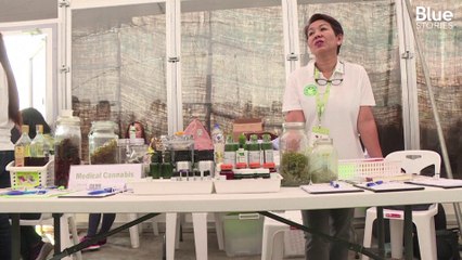 Le premier festival de la marijuana vient d'être organisé en Thaïlande